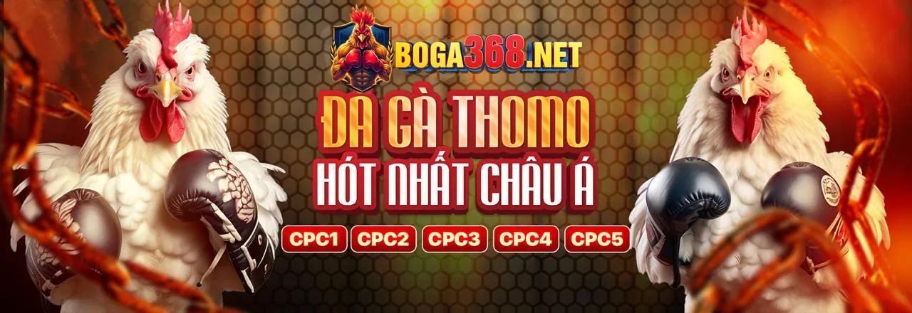 Đánh giá chuyên sâu nền tảng hi889 nhà cái